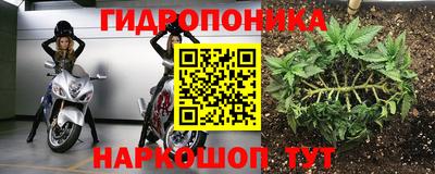 спиды Нальчик