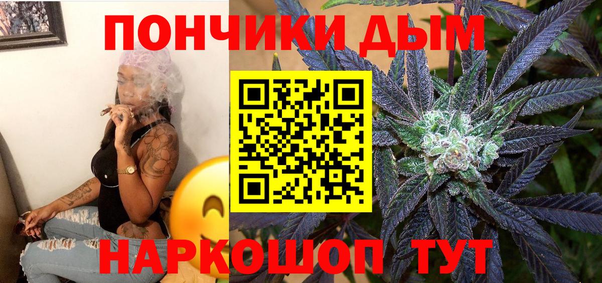Шишки марихуана сатива  Бошки марихуана план  Свободный  Вход с VPN 